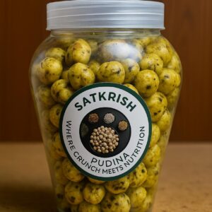 Pudina (100g)